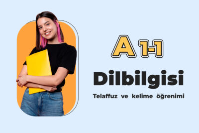 A1-1